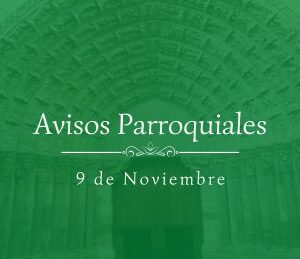 Avisos 9 de Noviembre Avisos 9 de Noviembre