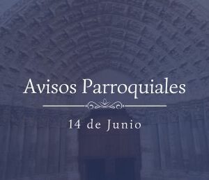 Avisos Parroquiales 14 de Junio Avisos Parroquiales 14 de Junio